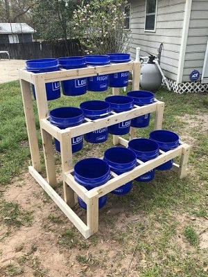 gardening in buckets